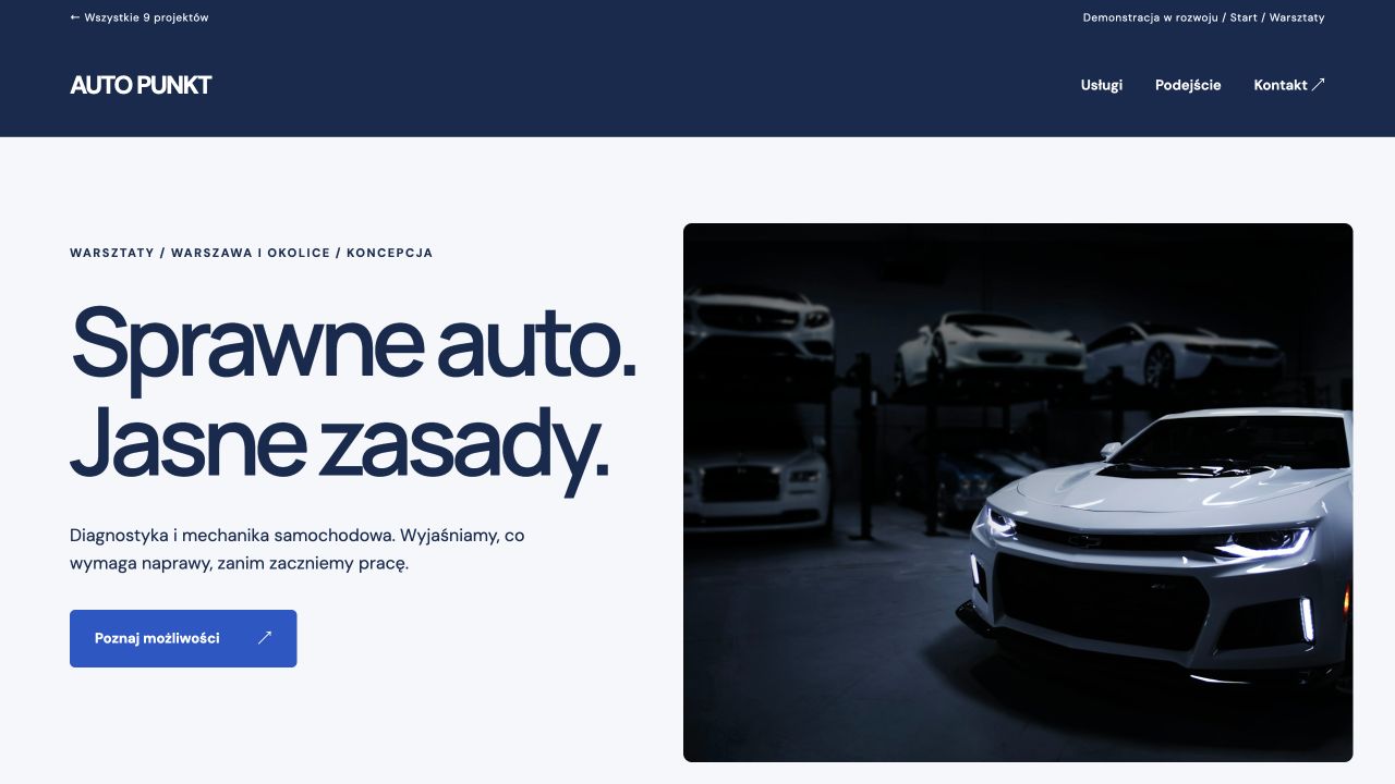 Podgląd AUTO PUNKT